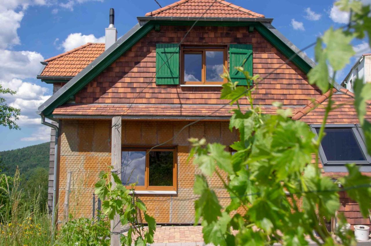 Le Gite Du Wildbach Wildersbach Dış mekan fotoğraf
